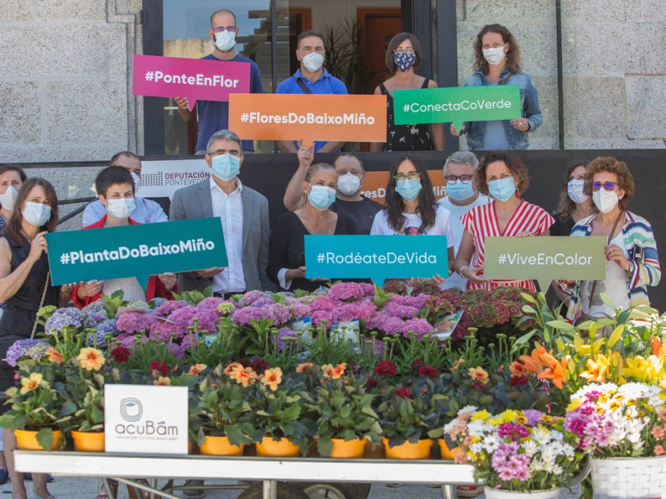 Campaña da Deputación de Pontevedra para dar pulo ao sector da planta ornamental e da flor cortada do Baixo Miño - acuBam