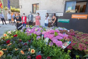 Campaña da Deputación de Pontevedra para dar pulo ao sector da planta ornamental e da flor cortada do Baixo Miño - acuBam